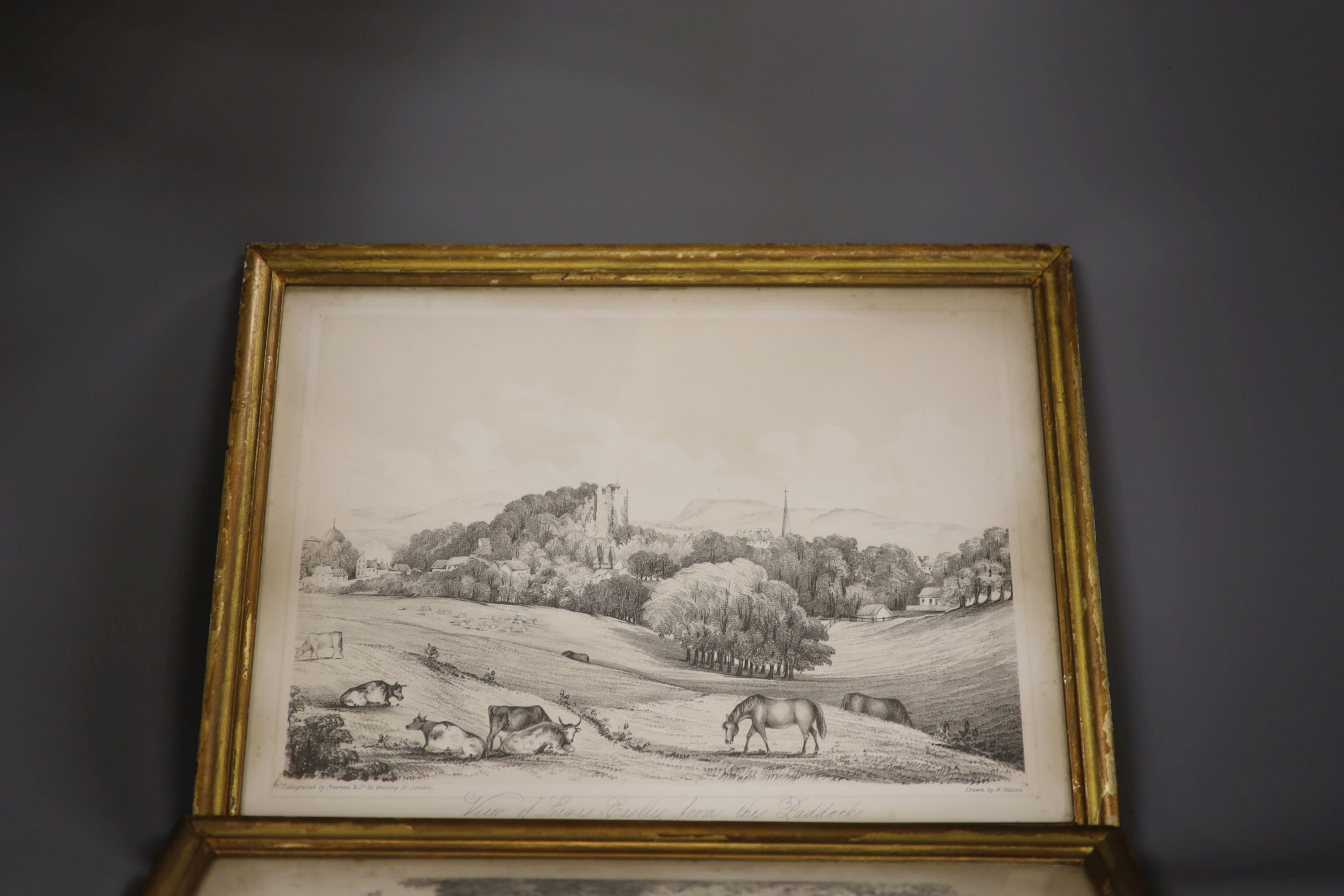 W. Watson (19th C.), two lithographs, North View of Lewes Castle and Lewes Castle from the Paddock, 25 x 36cm